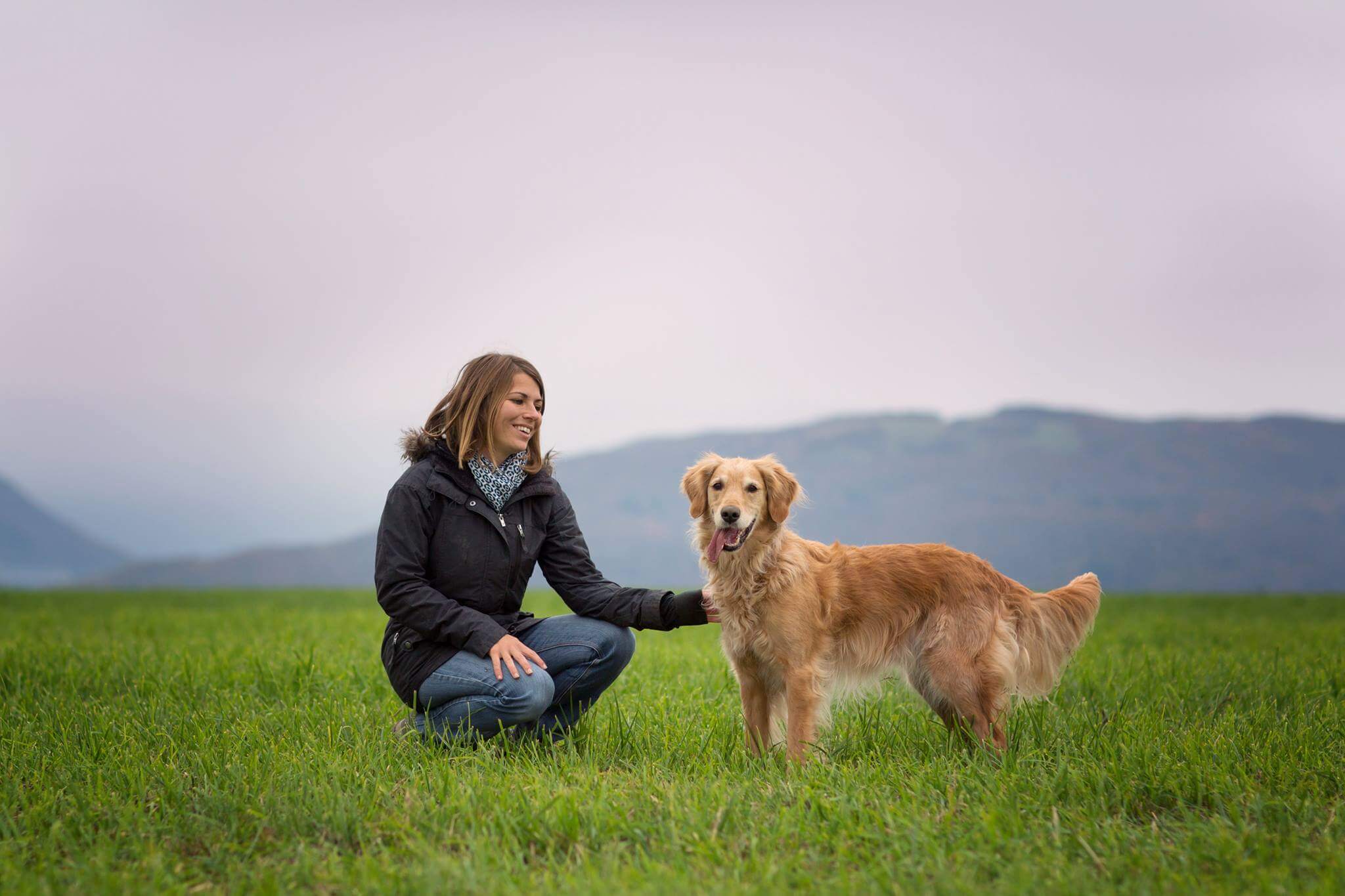 Ma passion pour les chevaux, les chiens, le clicker