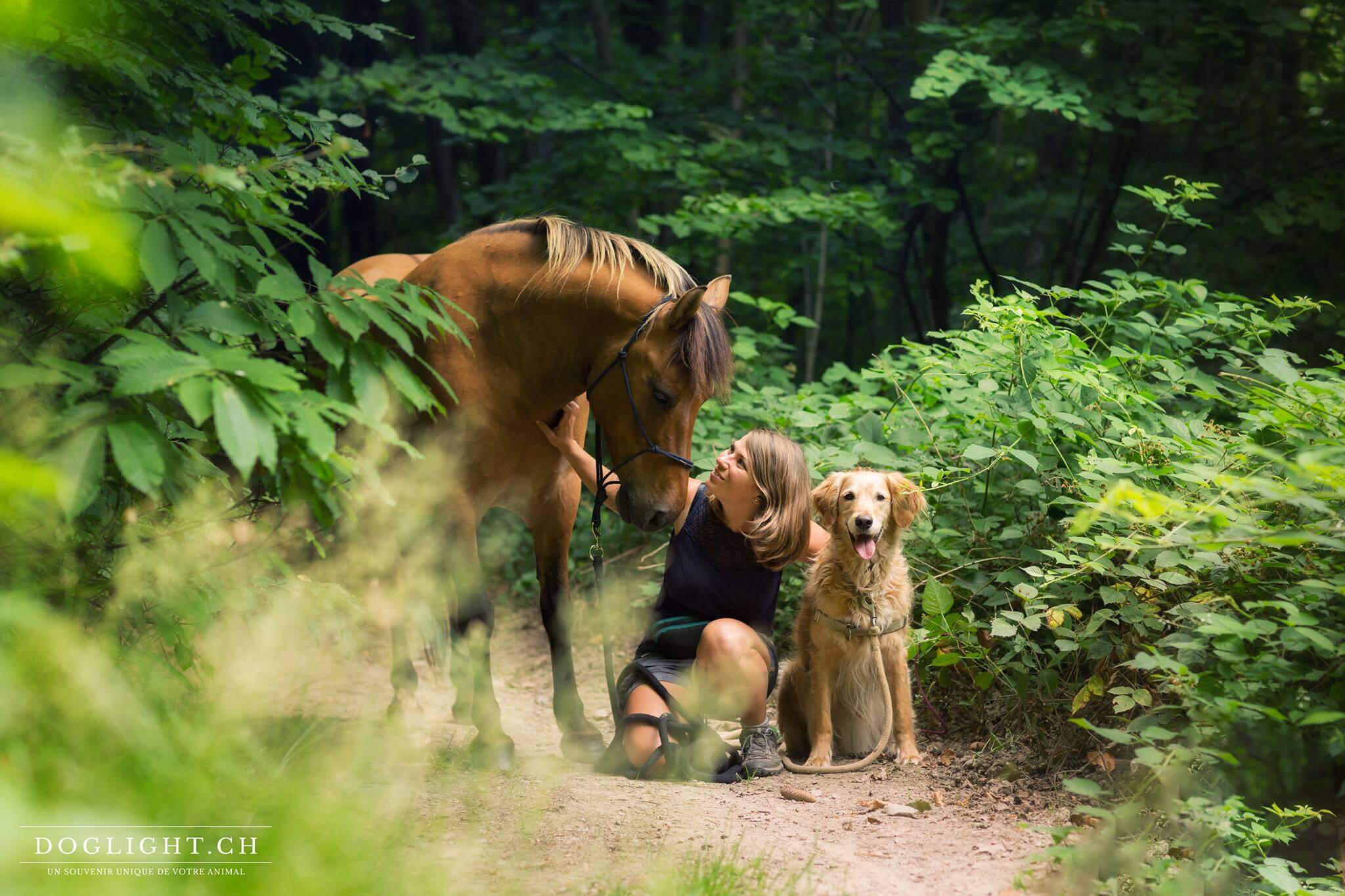 Ma passion pour les chevaux, les chiens, le clicker