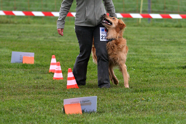 Concours de Rallye Obedience