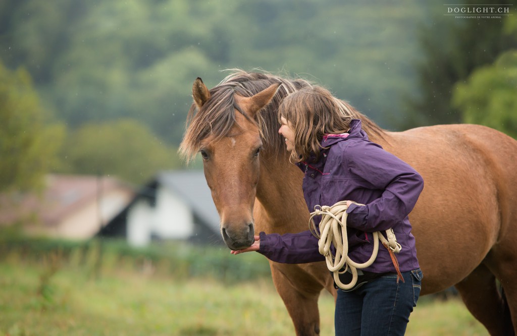 Clicker training avec son cheval : politesse, bonnes manières et immobilité décontractée