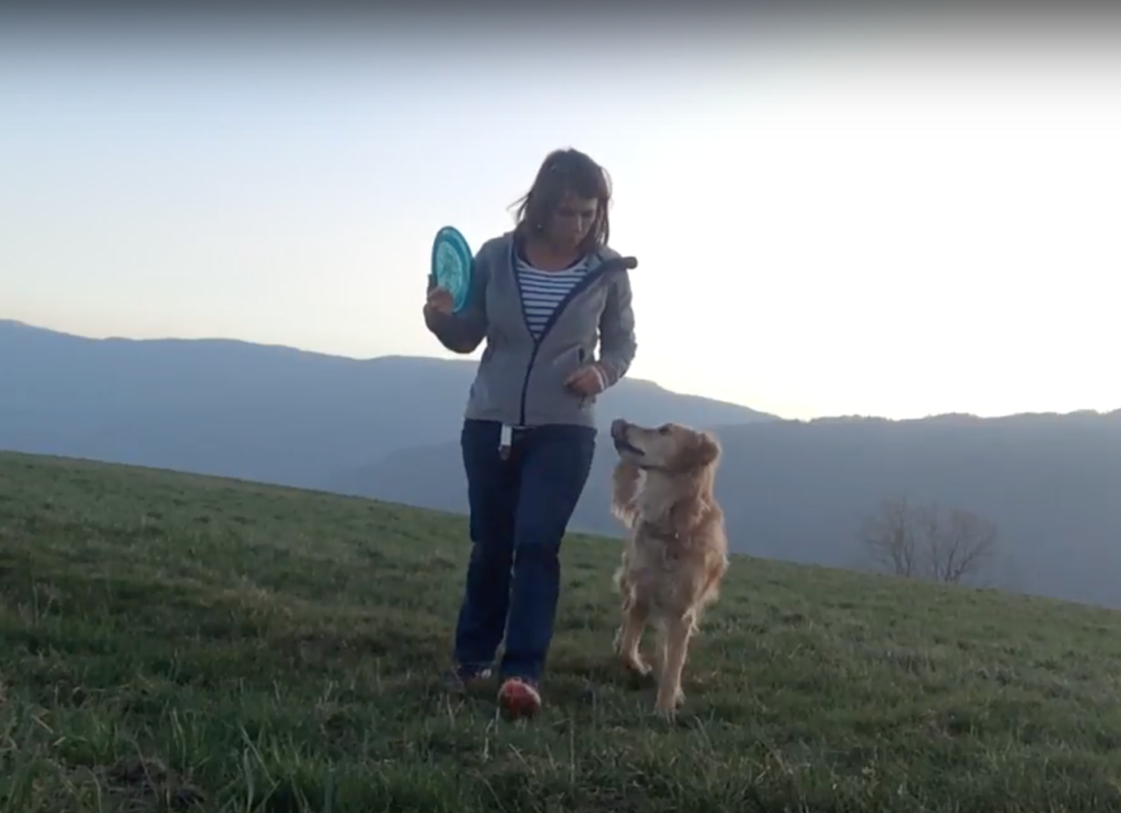 [Vidéo] Entrainement de Dog Dancing