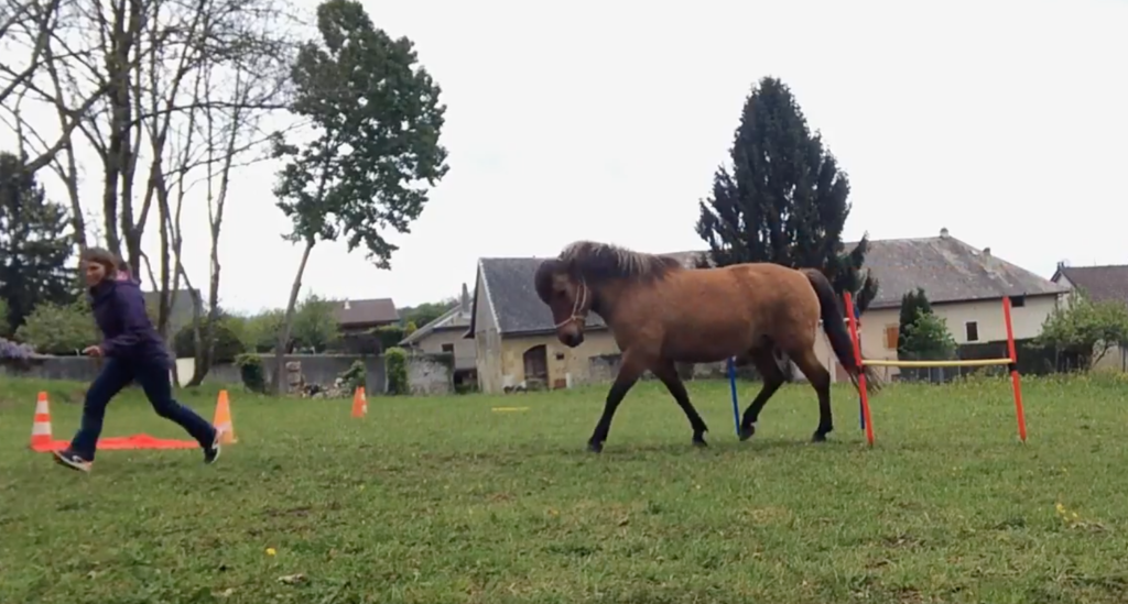 [Vidéo] Moka et son ballon “Target” !