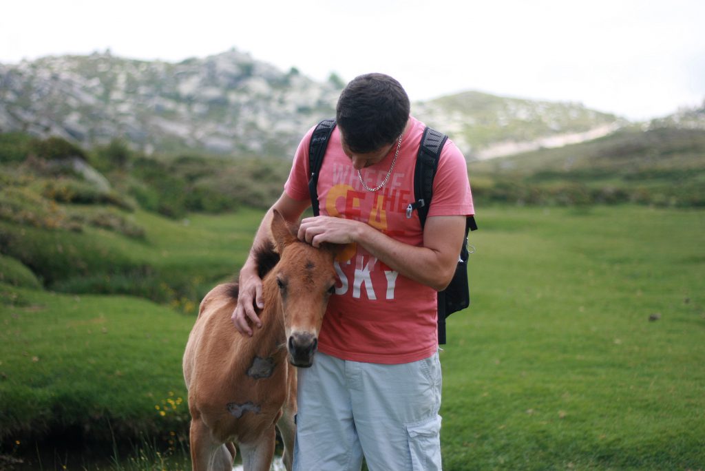 Voyage en Corse : Plateau de Coscione