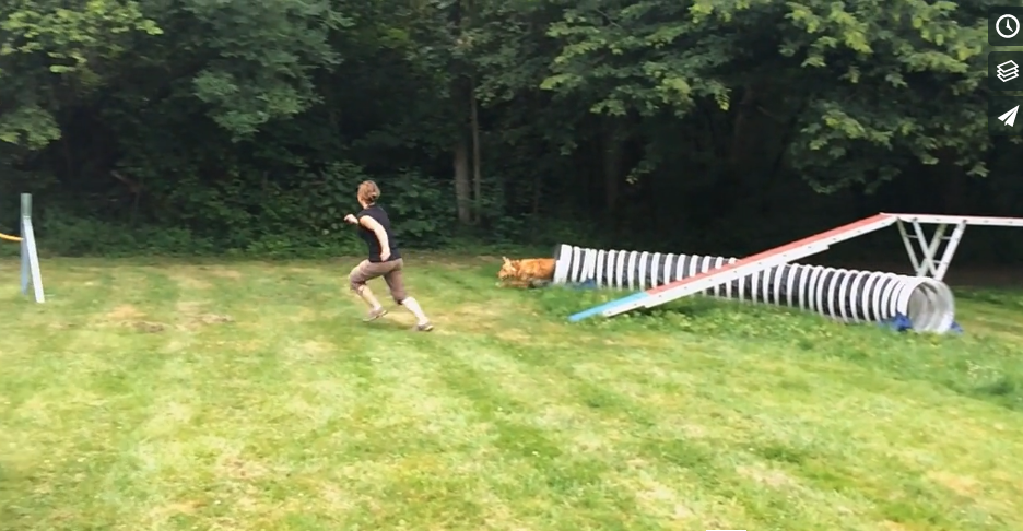 Agility au ralenti