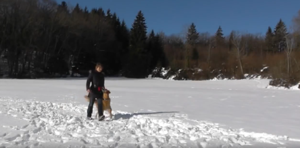 [Vidéo] Dog Dancing dans la neige