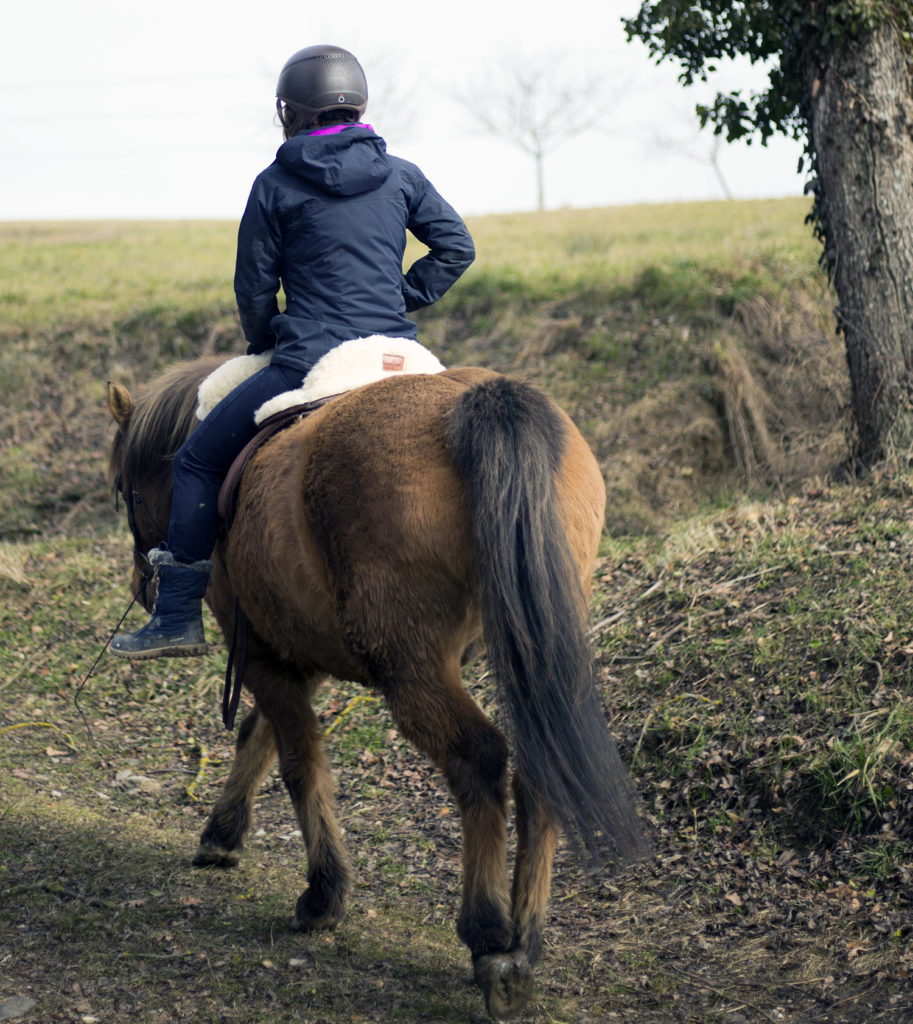 À cheval : la sécurité avant tout !