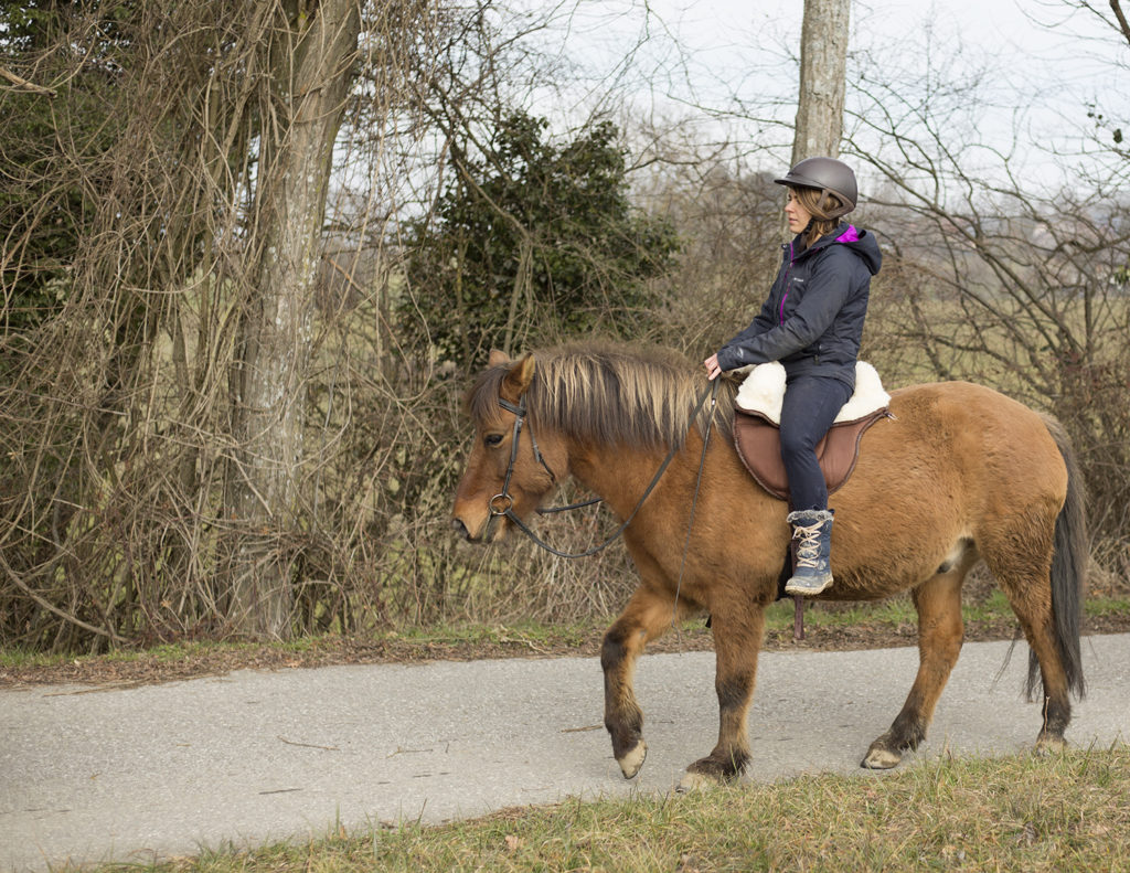 Quand on a l’impression de ne plus progresser avec son cheval