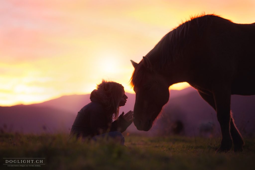 Ces belles citations sur les chevaux