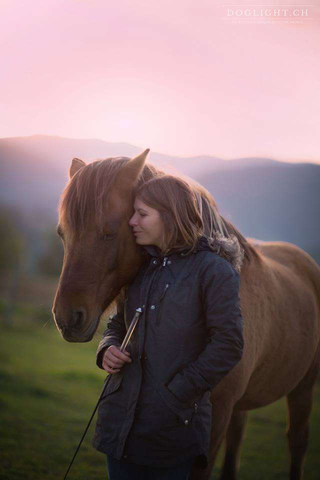 Travail à pied : entrainer son cheval en matérialisant avec des cônes