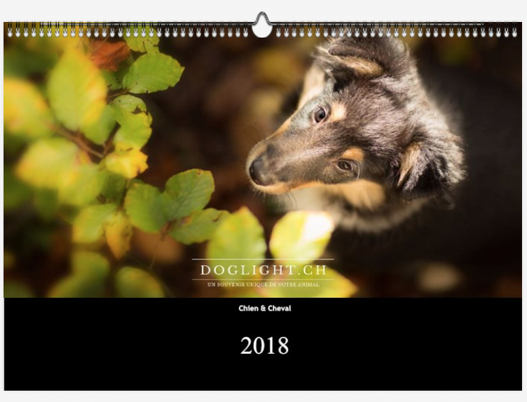 Un calendrier Doglight à gagner