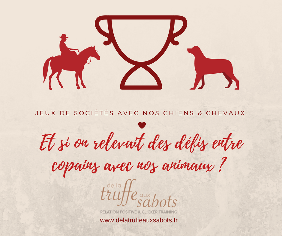 “Jeux de société” avec nos chiens et chevaux