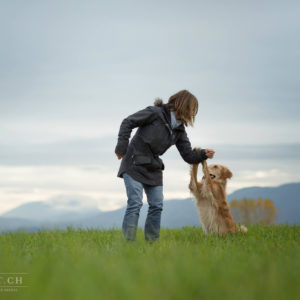 Le clicker challenge canin