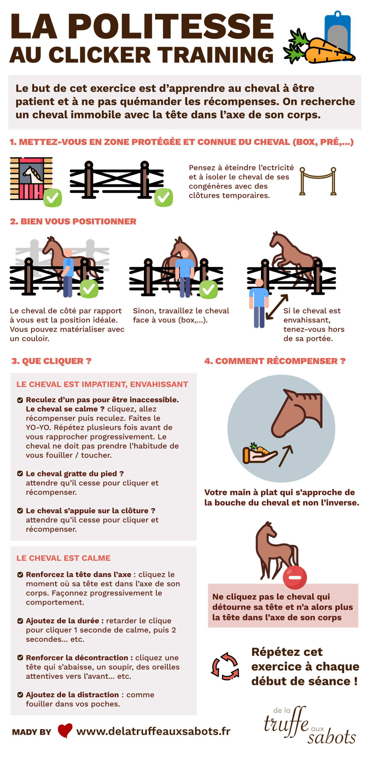 cheval clicker training politesse