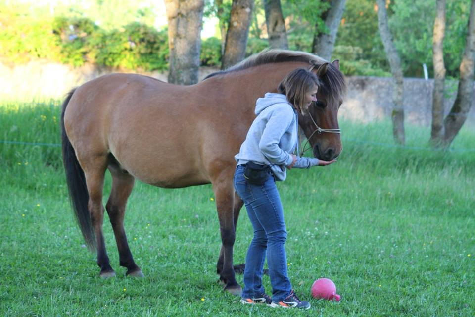 Mon cheval prend les récompenses avec les dents