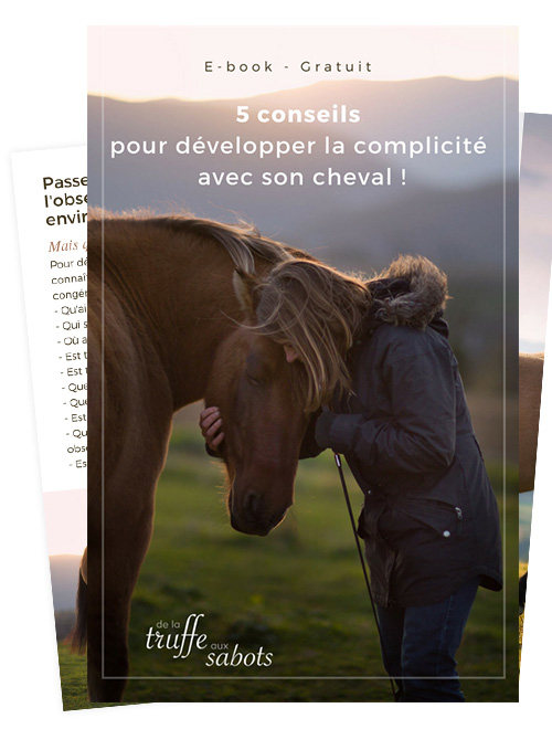 E-book gratuit : Développer la complicité avec son cheval