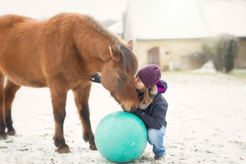 Accessoires pour débuter le clicker training avec son cheval