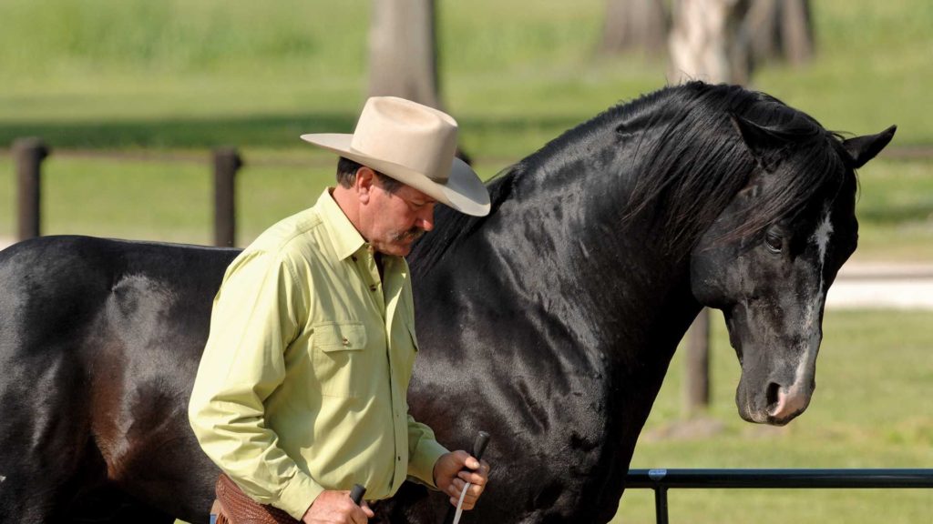 La méthode Pat Parelli – Natural Horse-man-ship