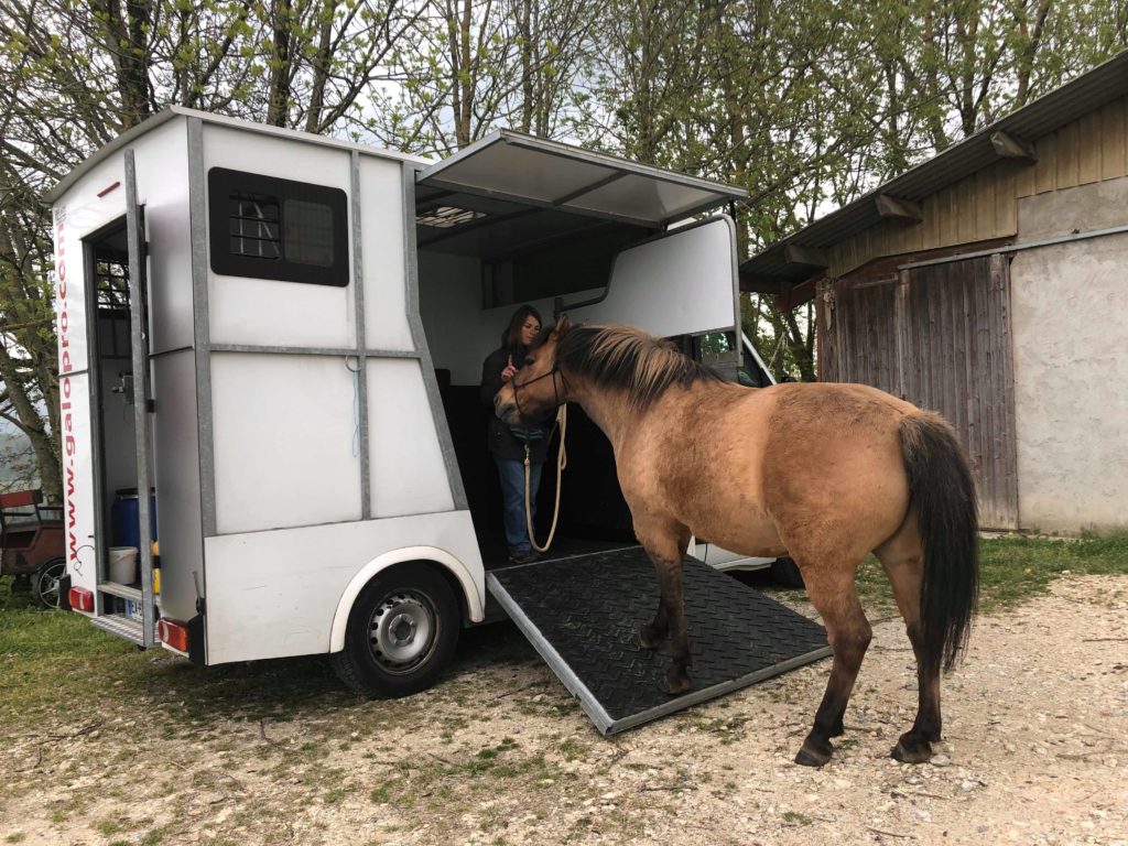 Clicker Training : embarquer son cheval dans le van