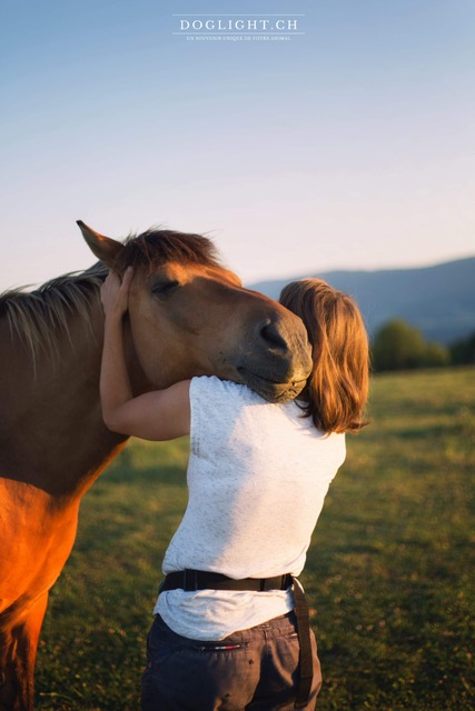 Cheval Complice, créer une relation positive & harmonieuse avec son cheval