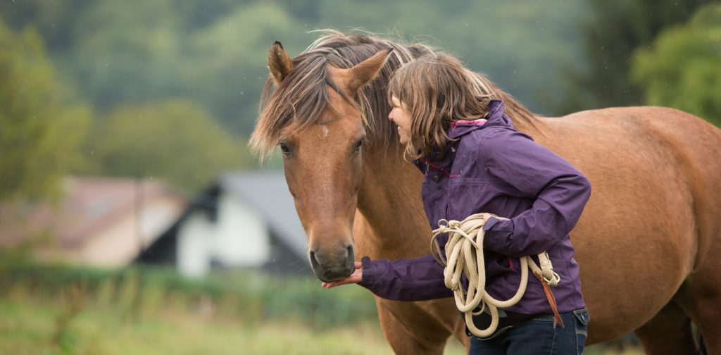 Ces Belles Citations Sur Les Chevaux De La Truffe Aux Sabots