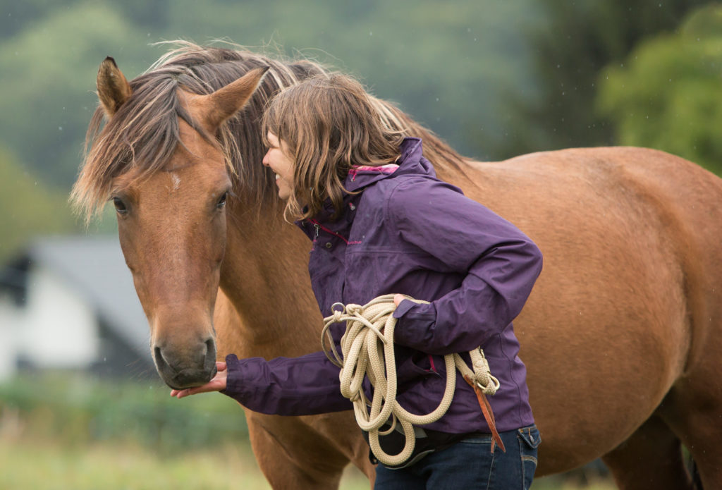 Comment motiver son cheval ?