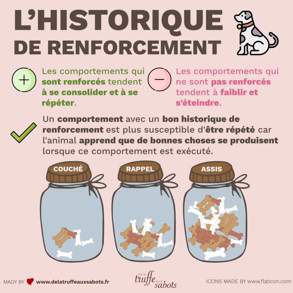 L’historique de renforcement