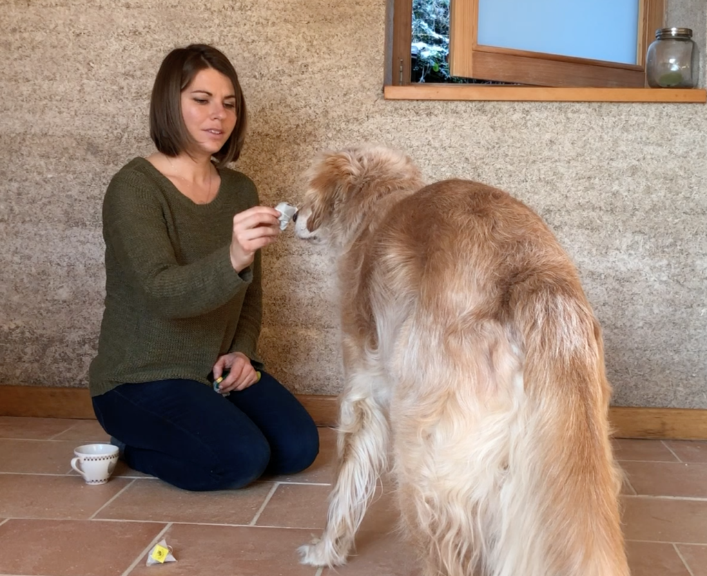 Stimuler son chien avec ce jeu d’odorat