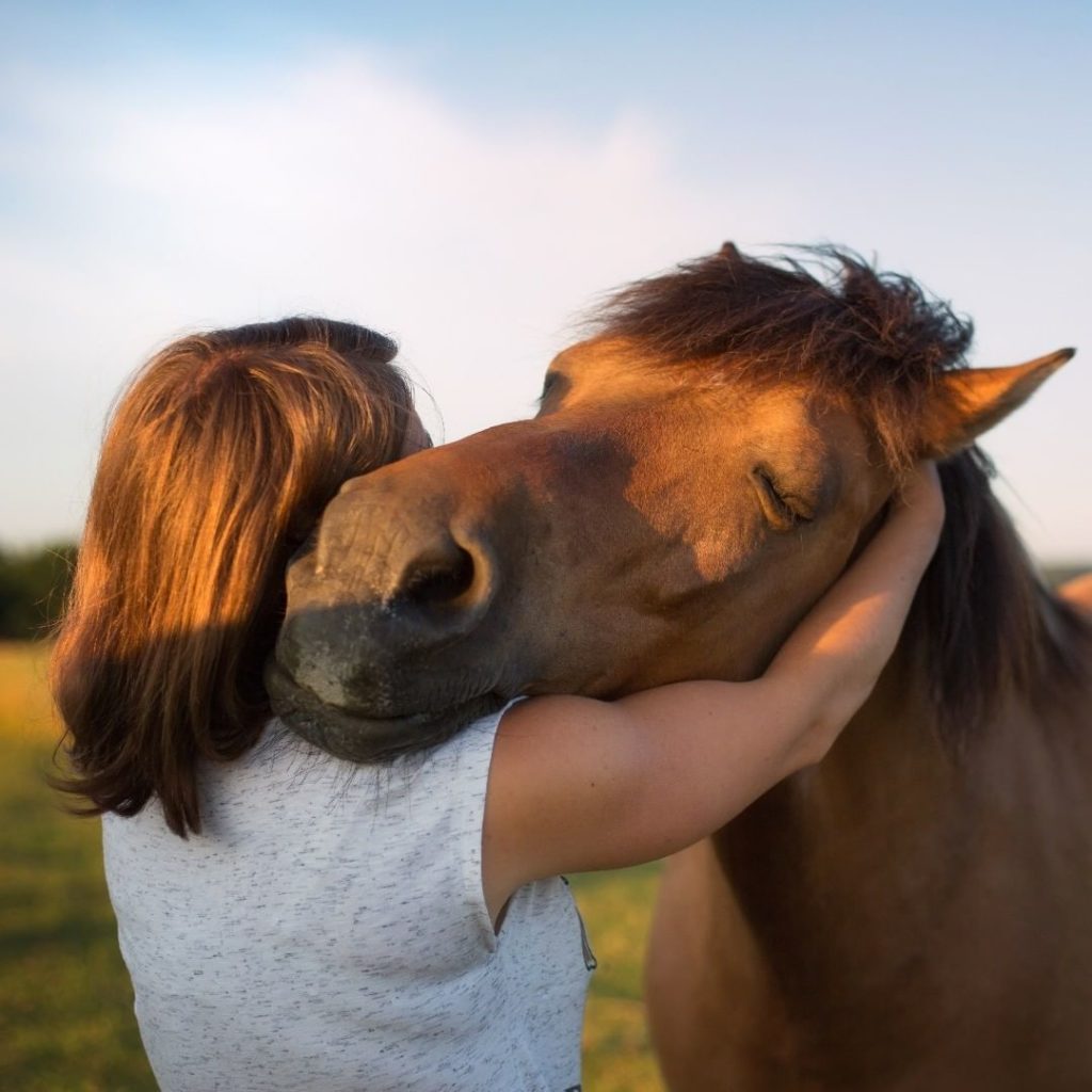 FAQ : Ma relation avec mes animaux