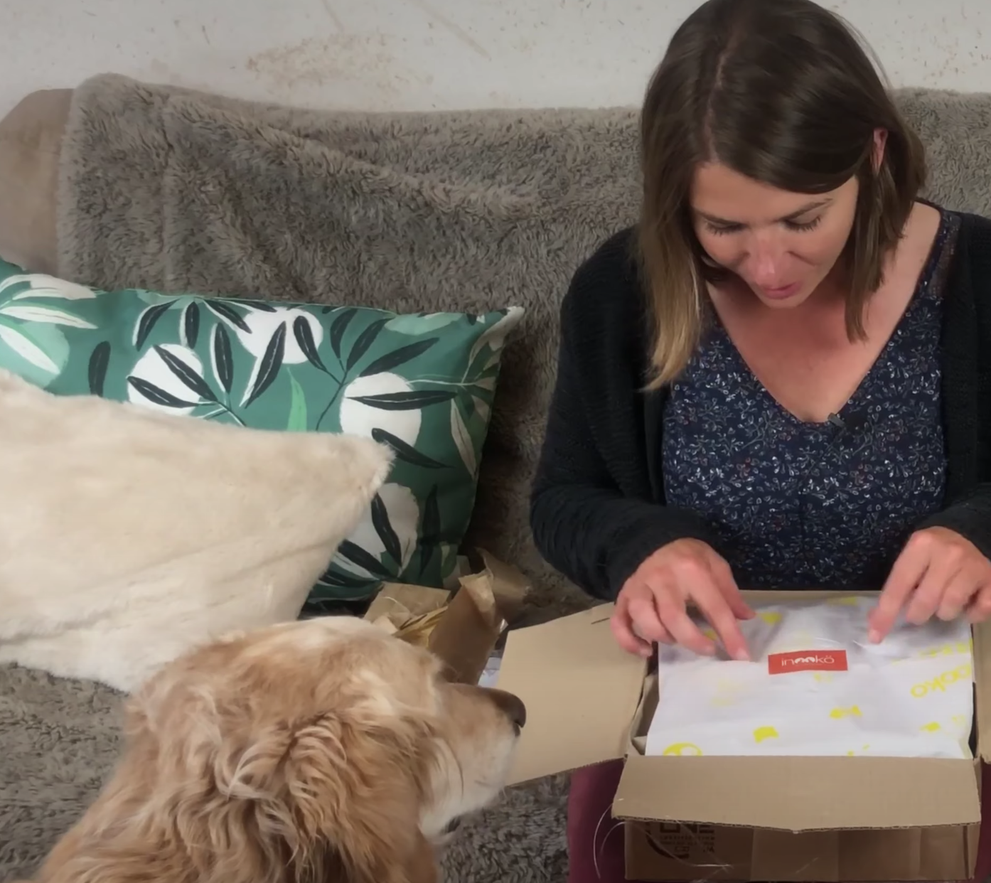 Unboxing chien chat inooko