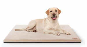 Coussin pour chien avec arthrose