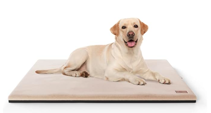 Coussin pour chien avec arthrose