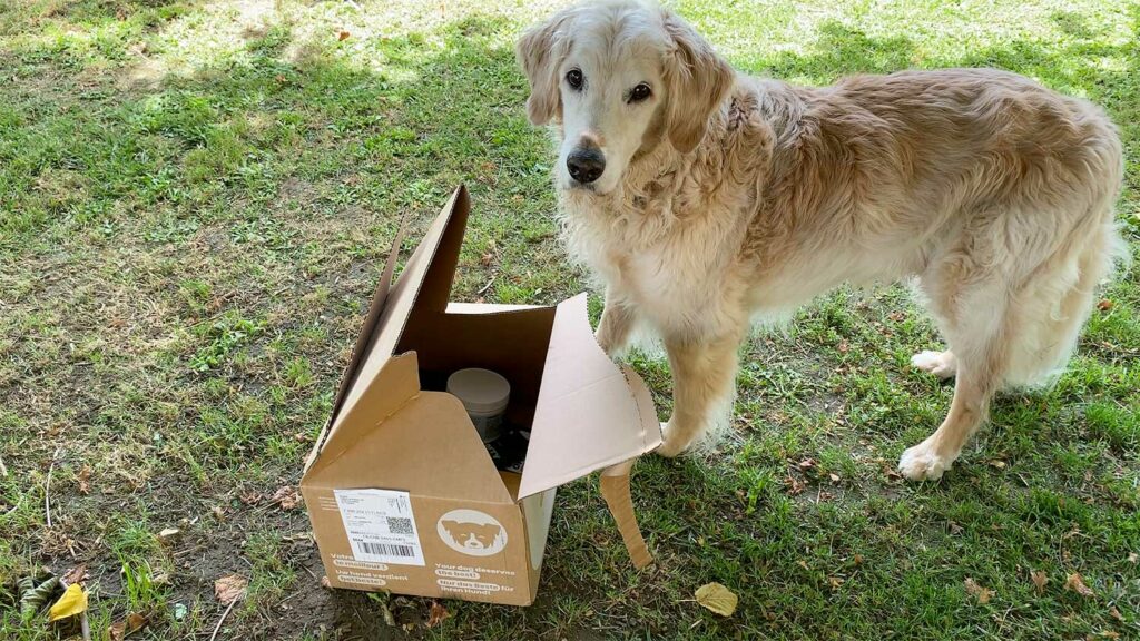 Comment mieux nourrir son chien au quotidien : croquettes, BARF ou alimentation fraîche ?