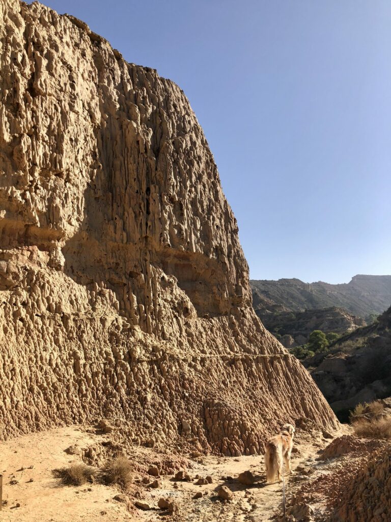 Falaise d'argile érodée et chien sur le sentier du Tozal de Colasico