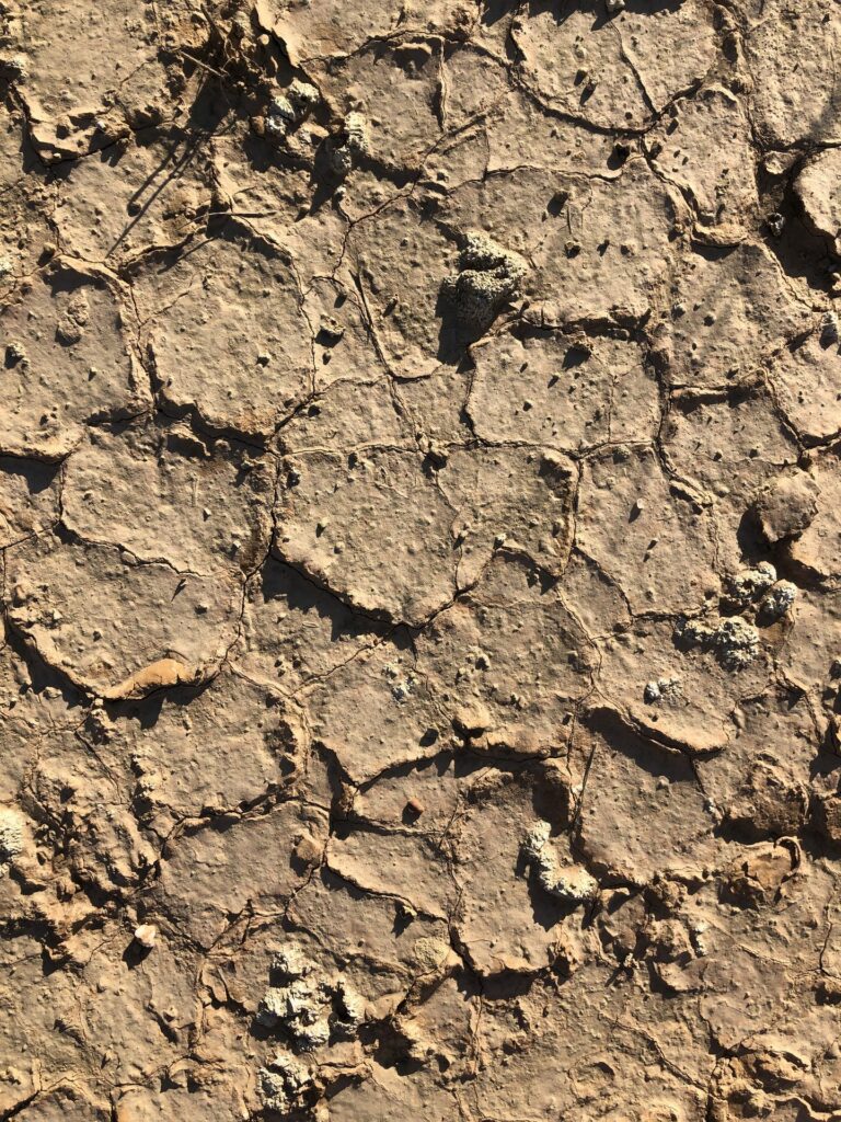 Sol argileux craquelé du désert de Monegros